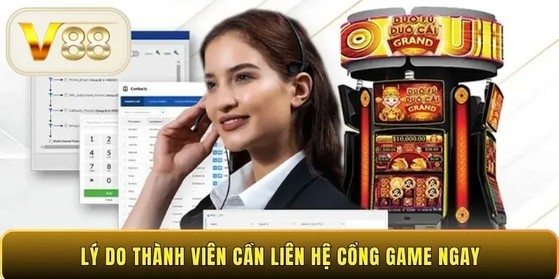 Lý do thành viên cần liên hệ cổng game ngay